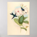 Search for hummingbird art Wall