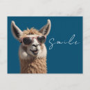 Search for alpaca postcards Animal