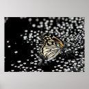 Search for dew art Environment