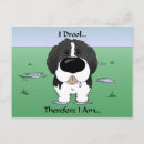 Search for newfy Landseer