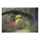 Search for jaynes gallery posters Usa