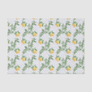 Search for fruit tissue paper Citrus