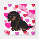 Search for haired magnets Wiener dog