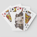 Search for japanese cat playing cards Animal