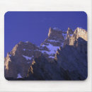 Search for gavriel jecan electronics Nature