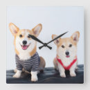 Search for corgi gifts Baby animals