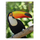 Search for brasil notebooks Black