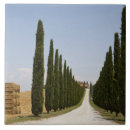 Search for tuscany tiles Nature
