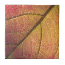 Search for natural tiles Home décor