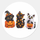 Search for ghost cat stickers Crazy cat lady