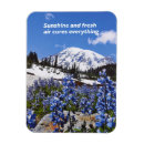 Search for rodeo magnets Ranch