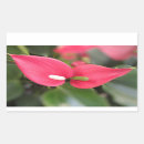 Search for mothers day rectangle stickers Floral