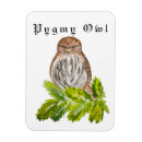 Search for saw magnets Bird