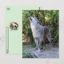 Search for wolfs postcards Dog