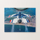 Search for thunderbird puzzles Falcon