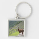 Search for llama key rings Peru