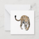 Search for big note cards Jungle