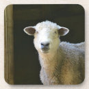 Search for sheep gifts sweet Farm animal