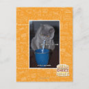 Search for blows postcards I can has cheezburger