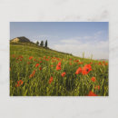 Search for tuscany postcards Siena