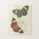 Search for butterfly puzzles Nature