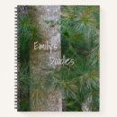 Search for evergreen notebooks Forest