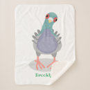 Search for pigeon blankets Illustration