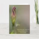 Search for glory flower Plants