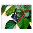 Search for butterfly calendars Nature