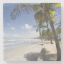 Search for attraction coasters Travel
