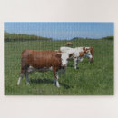 Search for pastural Blue sky