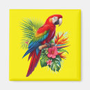 Search for macaws magnets Animal