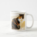 Search for calico cats mugs Animals