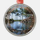 Search for hawaiian christmas tree decorations Vacation