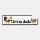 Search for chook Chickens