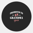 Search for promoted to grandma stickers Again