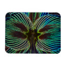 Search for amaryllis magnets Garden