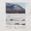 Search for frozen postcards Countryside