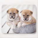 Search for aluminum mousepads Aluminium
