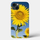 Search for provence Yellow