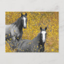 Search for horse postcards Flowers