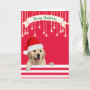 Search for golden retriever christmas cards Dog