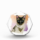 Search for siamese cat Animals