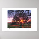 Search for sunrise pictures art Sunrises