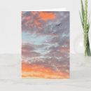 Search for flying birds cards Seagull