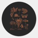 Search for art stickers Forest