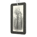 Search for poplar tree Trees