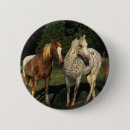 Search for appaloosa badges Equestrian