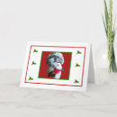Search for shih tzu christmas cards Xmas