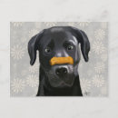 Search for black labrador postcards Contemporary